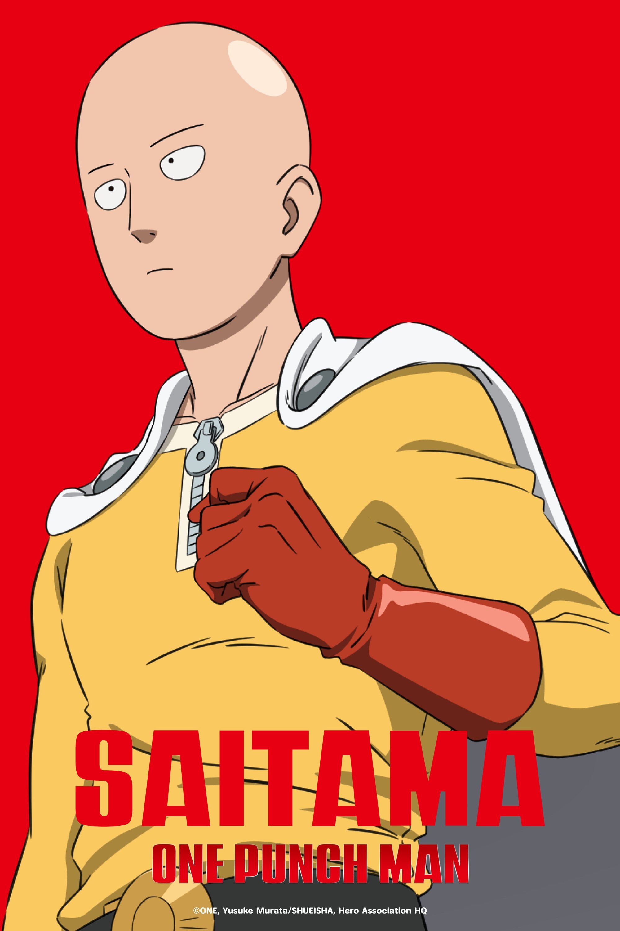 One-Punch Man (2015 Anime Series)